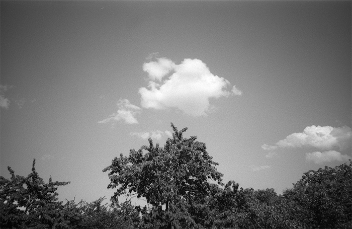 pentax_2021_07_032_ret